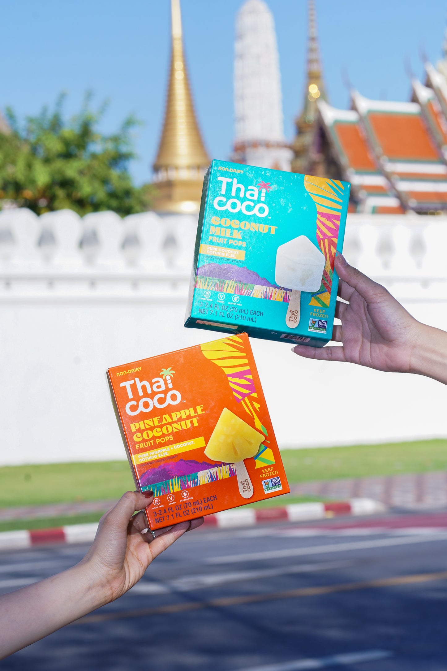 Pineapple Coconut Fruit Pops