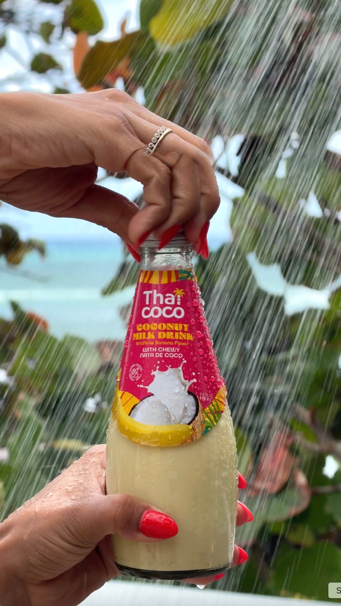 Coconut Milk Drink with Nata De Coco